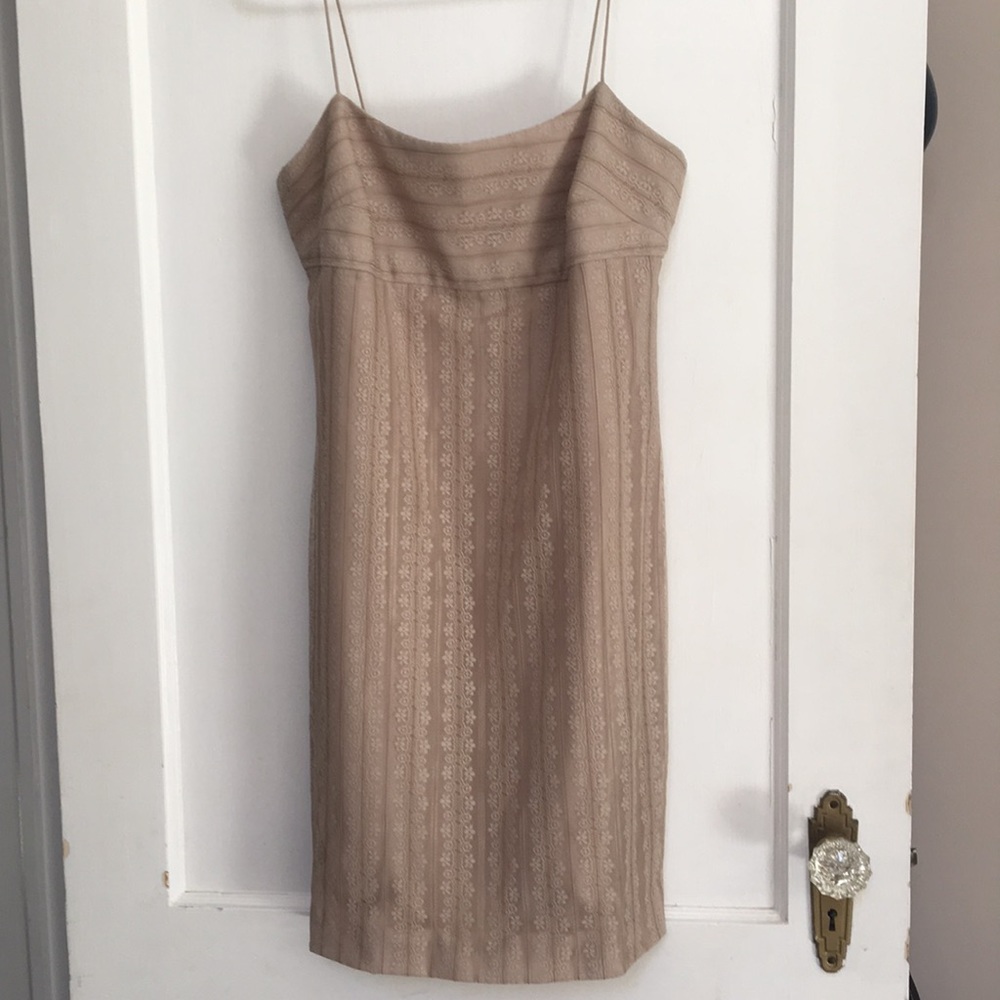 Ann Taylor tan lace party dress